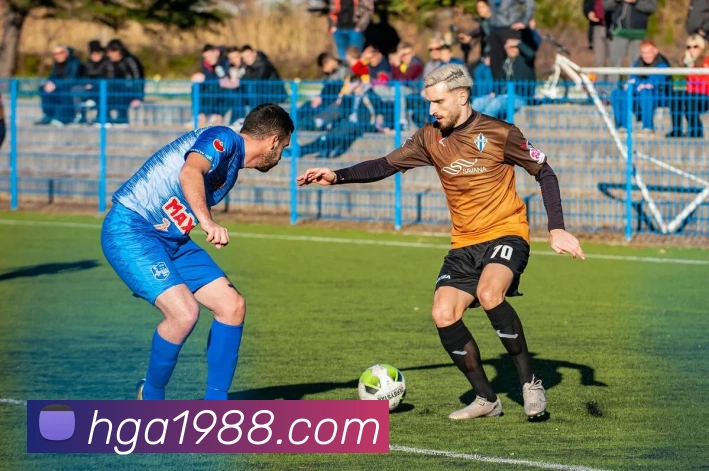皇冠娱乐网页版官网服务体系